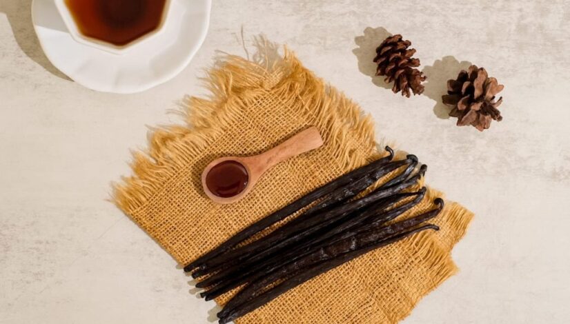 blog great vanilla 2