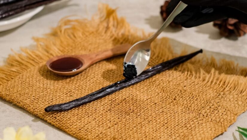 blog great vanilla 3